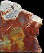 Tall Arizona Petrified Wood Bookends - Red & Yellow #45368-2